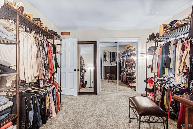 spacious closet with carpet