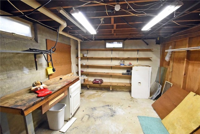 21 Algonquin Dr, Big Flats, NY 14845 - view of unfinished below grade area