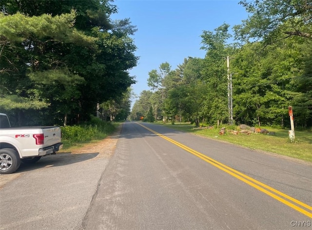 411 Emmonsburg Rd, Salisbury, NY 13454 - view of asphalt street