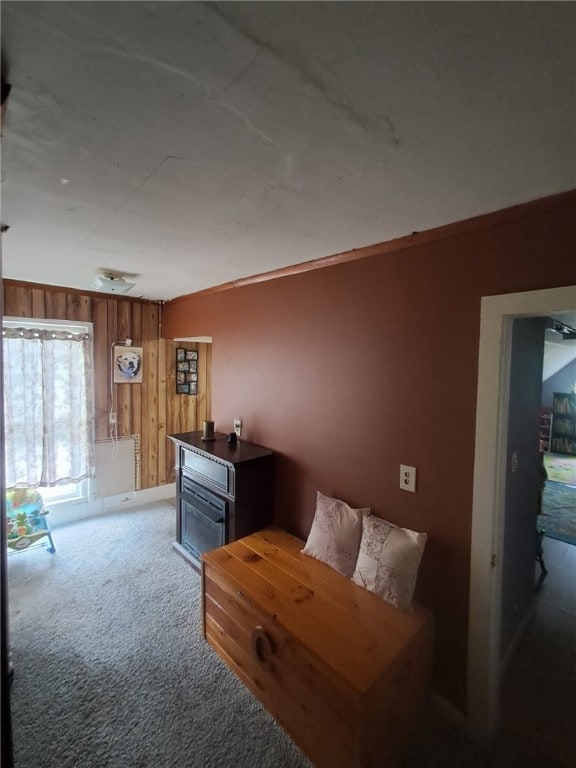 39 Steuben St, Addison, NY 14801 - photo 29