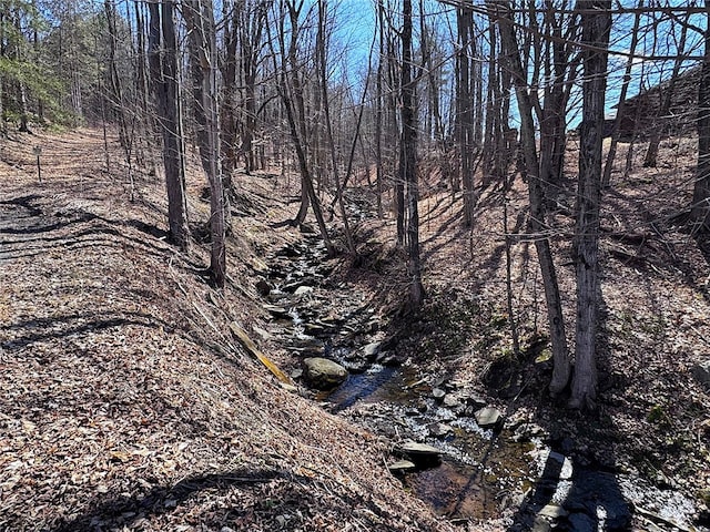 view of nature featuring a wooded view