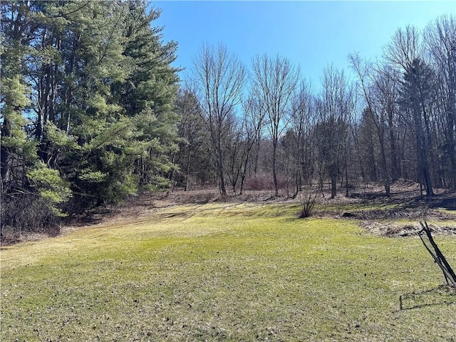 view of yard with a view of trees