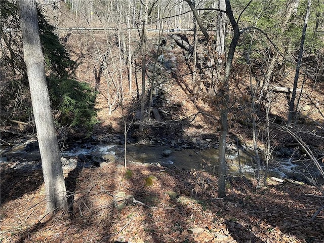 5187 State Highway 23, Norwich-Town, NY 13815 - view of landscape with a view of trees