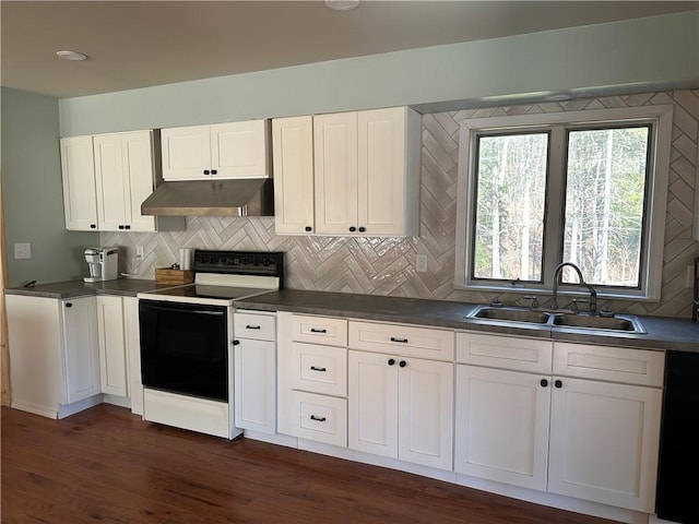 5187 State Highway 23, Norwich-Town, NY 13815 - kitchen with under cabinet range hood, range with electric stovetop, a sink, and dark countertops