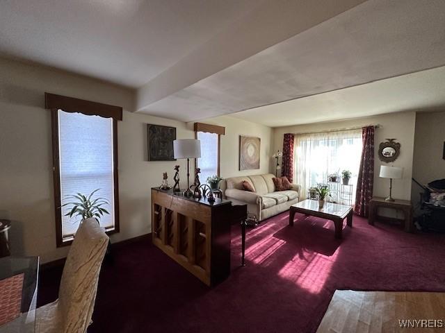 living area featuring dark colored carpet