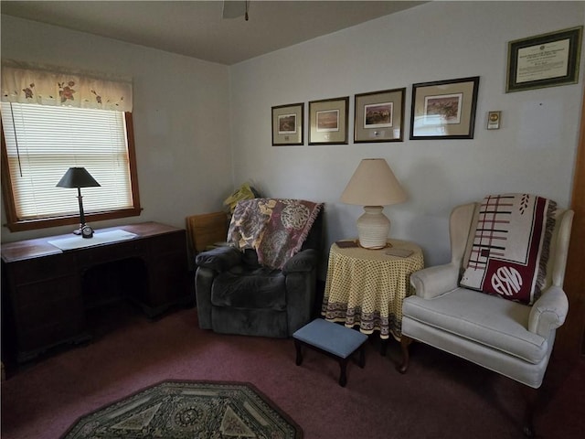 476 Musson Erwin Rd, Butternuts, NY 13843 - sitting room with carpet floors
