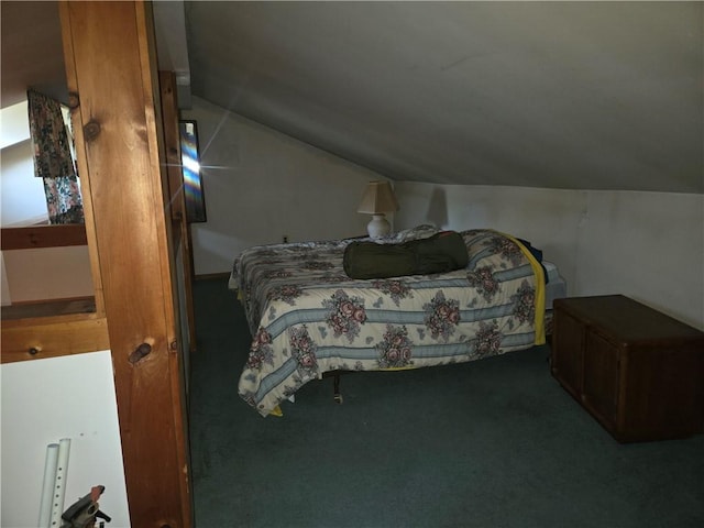 476 Musson Erwin Rd, Butternuts, NY 13843 - carpeted bedroom featuring lofted ceiling