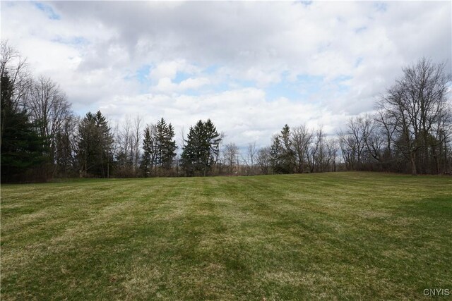 1525 Kinderhook Rd, Sullivan, NY 13037 - photo 7