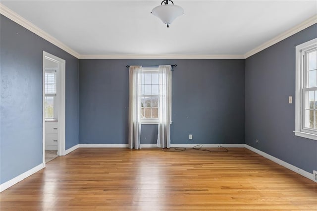 507 Hilltop Rd, Union, NY 13760 - empty room featuring a wealth of natural light, light wood-style floors, and ornamental molding
