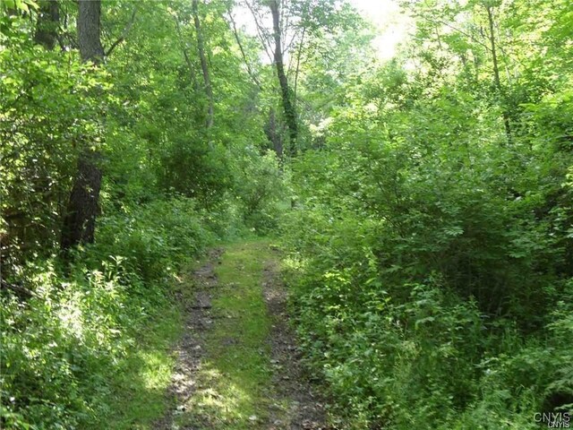 Henderson St, Whitestown, NY 13492 - photo 10