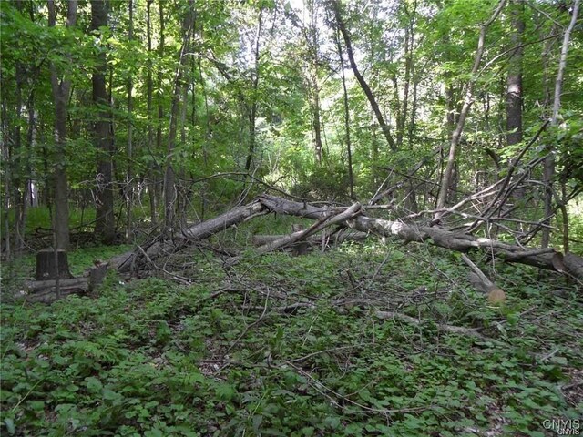 Henderson St, Whitestown, NY 13492 - photo 11