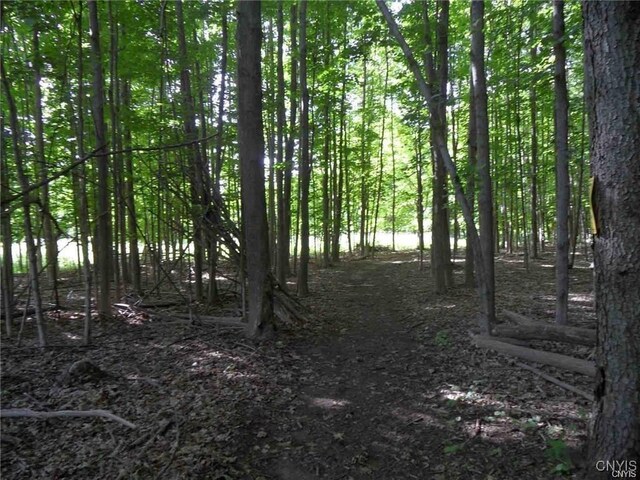 Henderson St, Whitestown, NY 13492 - photo 12