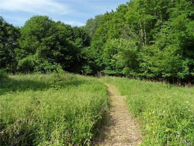 Henderson St, Whitestown, NY 13492 - photo 1