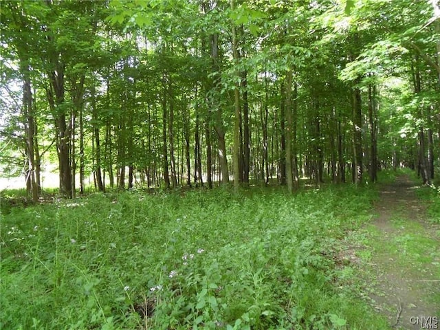 Henderson St, Whitestown, NY 13492 - photo 2