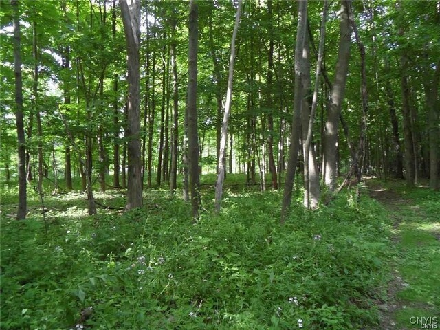 Henderson St, Whitestown, NY 13492 - photo 3