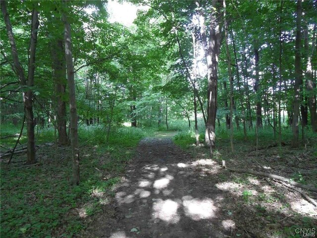 Henderson St, Whitestown, NY 13492 - photo 5