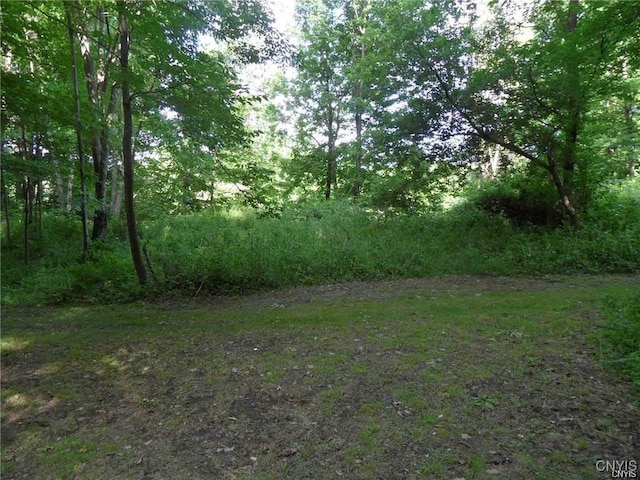 Henderson St, Whitestown, NY 13492 - photo 6