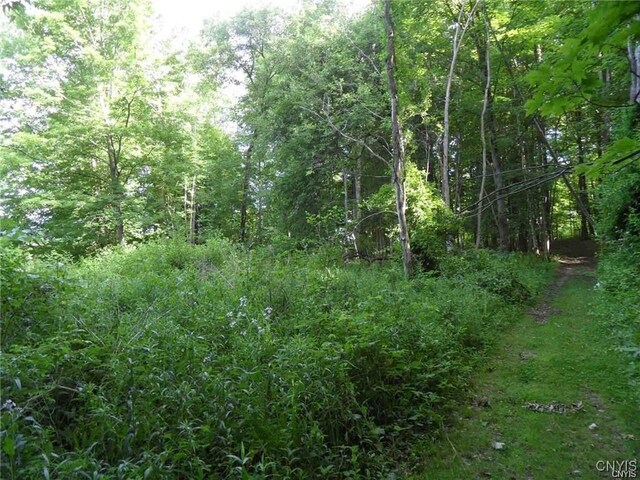 Henderson St, Whitestown, NY 13492 - photo 7