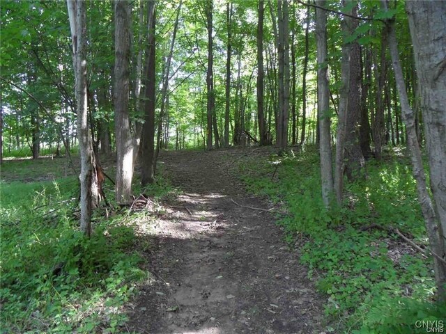 Henderson St, Whitestown, NY 13492 - photo 8