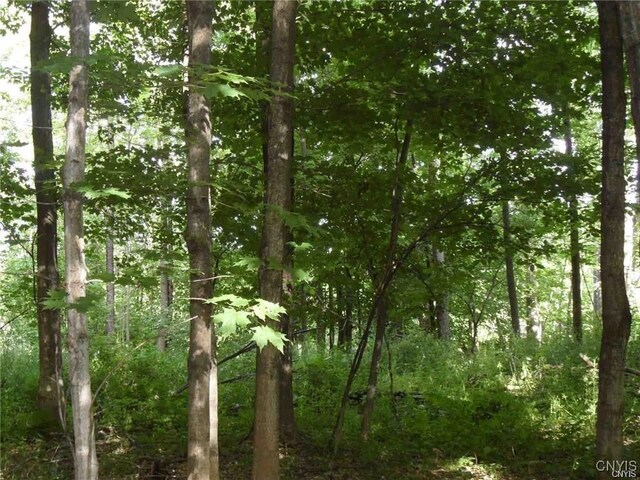Henderson St, Whitestown, NY 13492 - photo 9