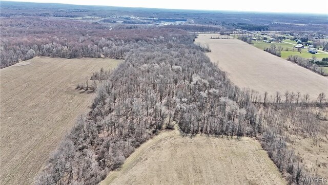 13755 Main Rd, Newstead, NY 14001