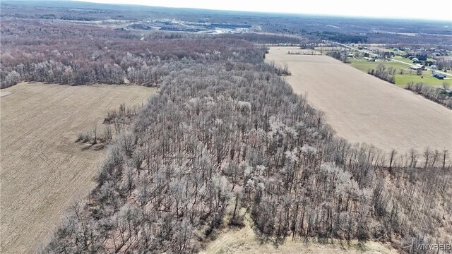 13755 Main Rd, Newstead, NY 14001
