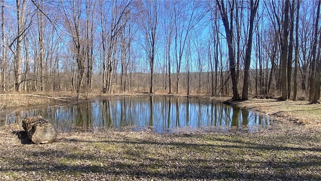water view