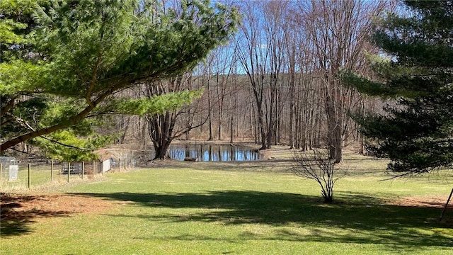 view of yard with a water view