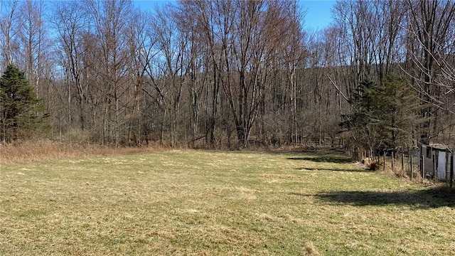 view of yard featuring a view of trees