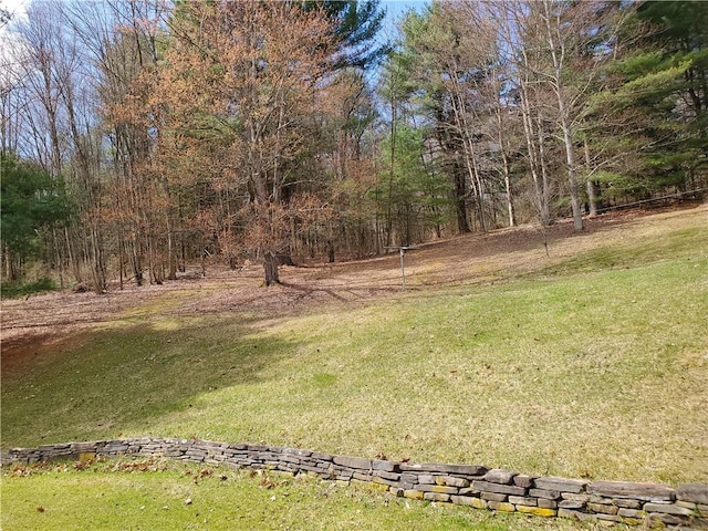 3963 Watkins Rd, Veteran, NY 14872 - photo 8