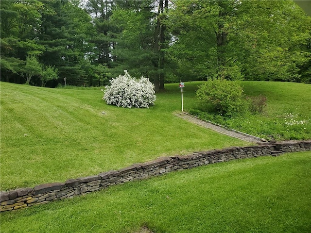 3963 Watkins Rd, Veteran, NY 14872 - photo 27