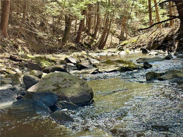 1114 Bull Run Rd, Middletown, NY 12455 - view of nature