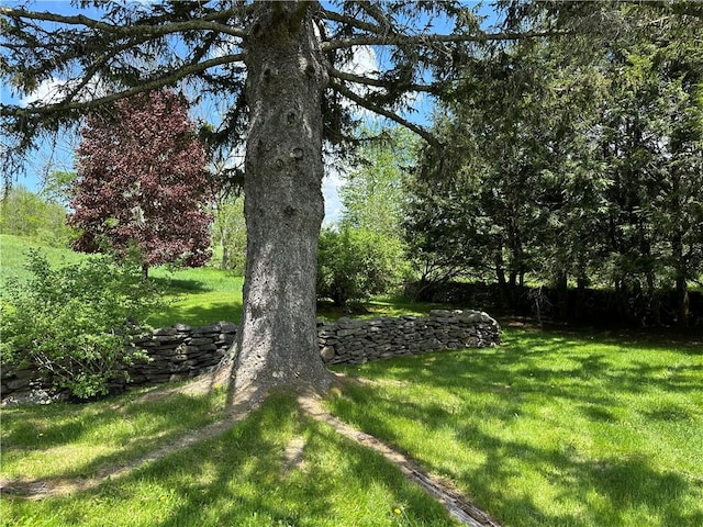 1114 Bull Run Rd, Middletown, NY 12455 - view of grassy yard