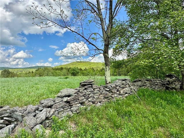 1114 Bull Run Rd, Middletown, NY 12455 - view of yard