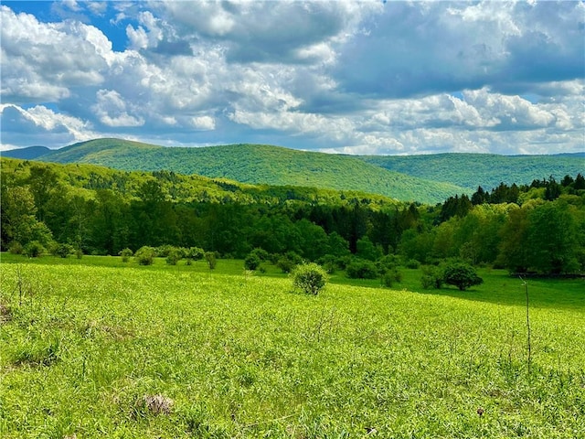 1114 Bull Run Rd, Middletown, NY 12455 - view of mountain background featuring rural landscape