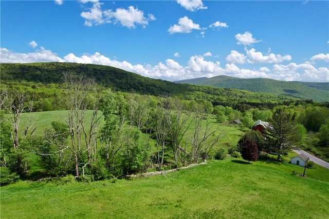 1114 Bull Run Rd, Middletown, NY 12455 - view of mountain background with a forest