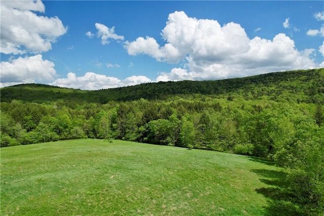 1114 Bull Run Rd, Middletown, NY 12455 - view of mountain backdrop featuring a heavily wooded area