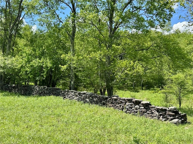1114 Bull Run Rd, Middletown, NY 12455 - view of yard with a view of trees