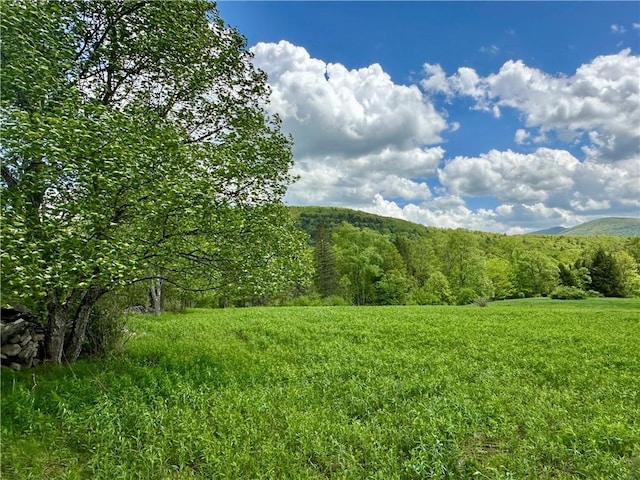 1114 Bull Run Rd, Middletown, NY 12455 - mountain view featuring a forest