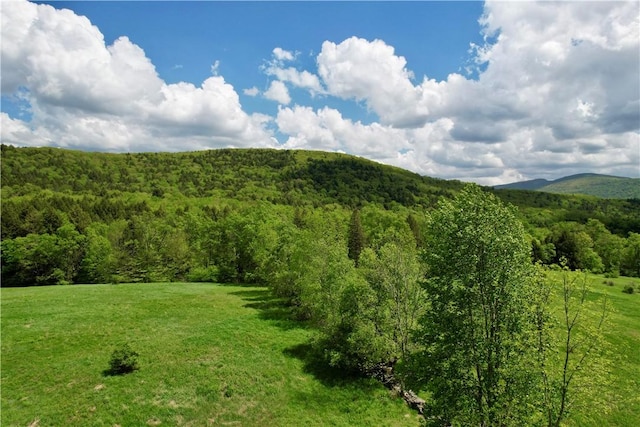 1114 Bull Run Rd, Middletown, NY 12455 - view of mountain backdrop with a heavily wooded area