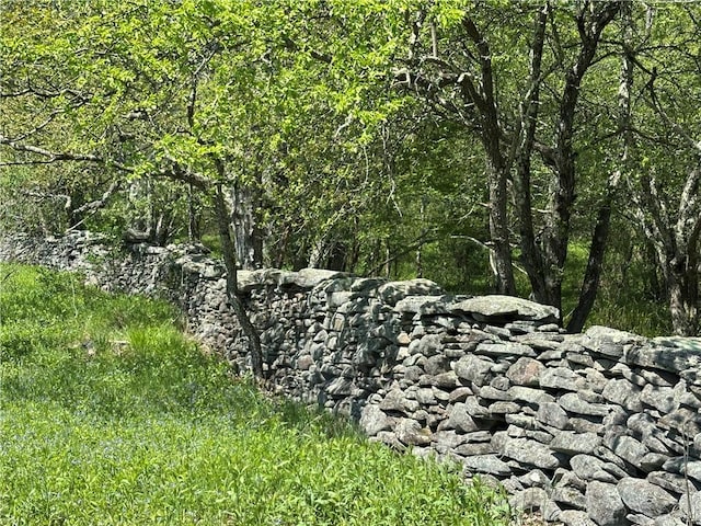 1114 Bull Run Rd, Middletown, NY 12455 - view of undeveloped land