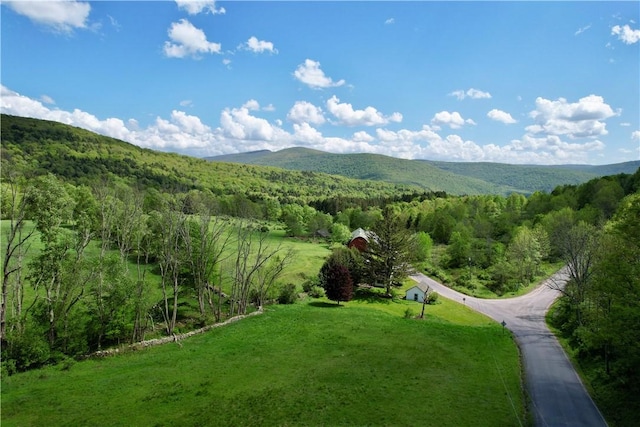 1114 Bull Run Rd, Middletown, NY 12455 - view of mountain background with a forest