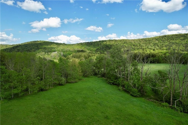 1114 Bull Run Rd, Middletown, NY 12455 - view of yard with a view of trees and a mountain view