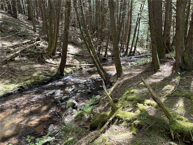 1114 Bull Run Rd, Middletown, NY 12455 - view of local wilderness