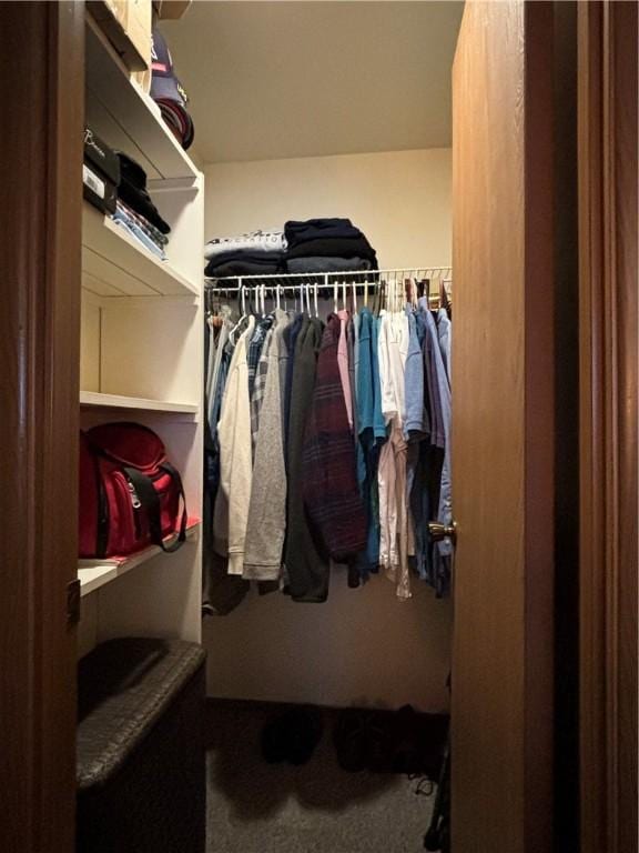 view of walk in closet