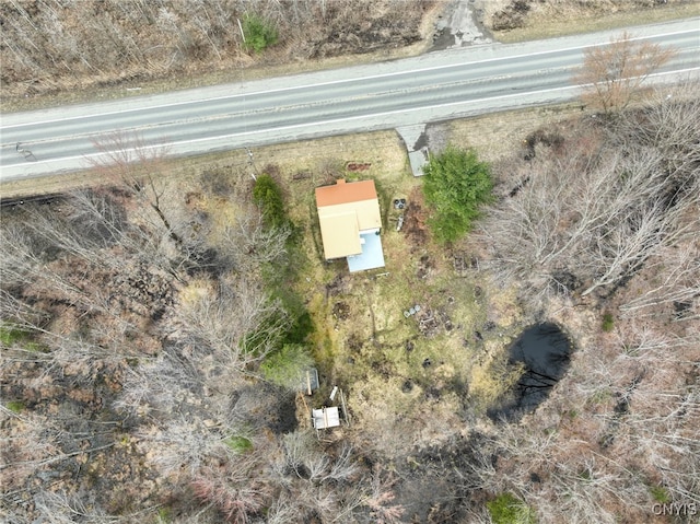 drone / aerial view