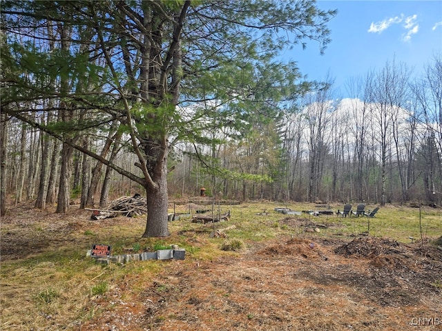 view of yard featuring a view of trees