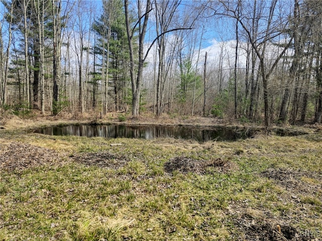 view of yard featuring a forest view