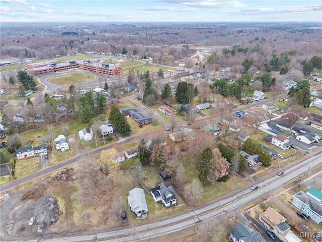 drone / aerial view