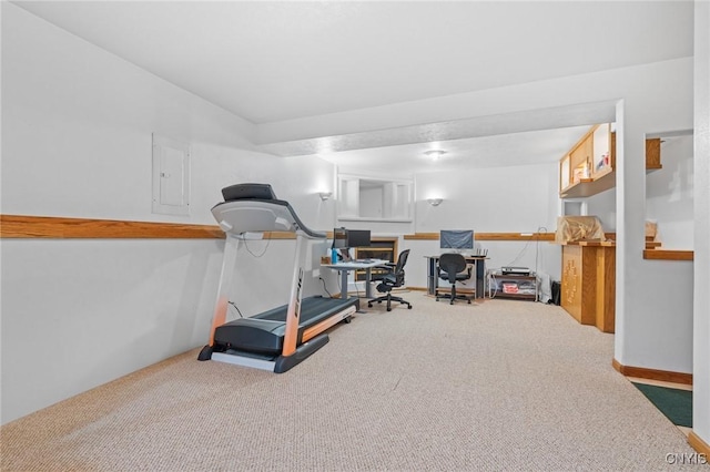exercise room with electric panel and carpet